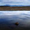 A vernal pond on Lower Table Rock with Mount McLoughlin on the horizon