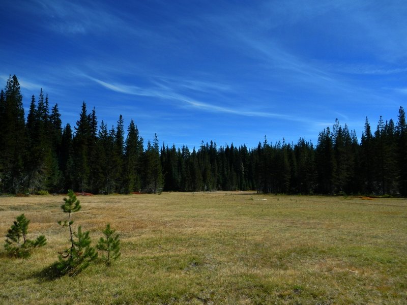 Indian Race Track Trail 171 Hiking Trail Carson Washington