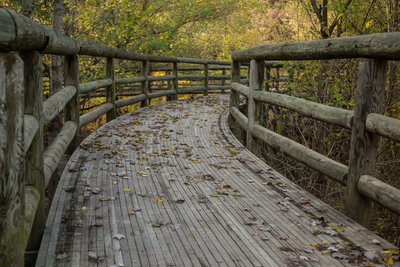 The beautifully constructed boardwalk at the entrance to CMHP