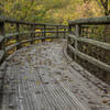 The beautifully constructed boardwalk at the entrance to CMHP