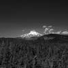 Mount Hood from atop the Flag Point Lookout