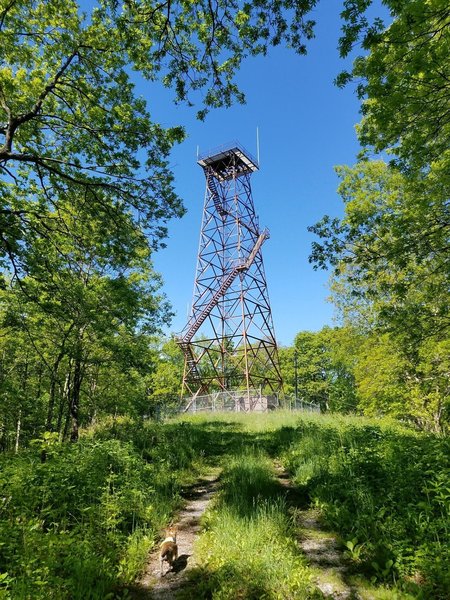 Fire tower top of the access road