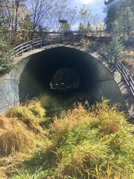 This is the tunnel that goes under the Mt Lemmon Highway, near mile marker 22.  Went on this short hike on 11/10/17 and we could still see some fall colors!  Easy and neat hike!