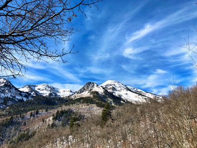 Backpacking Box Elder Peak Backcountry Post