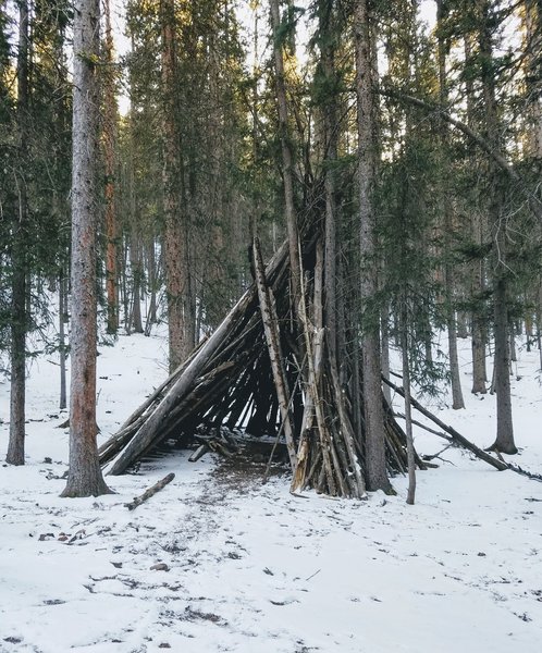 Survival Dispatch » Survival Shelter Building Basics