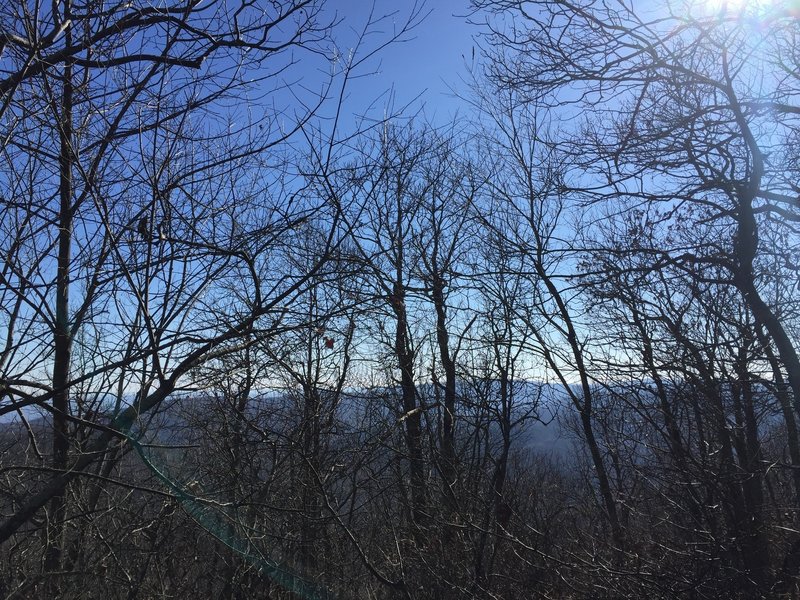 The lack of leaves allow a view from the peak of Mt Trayfoot.