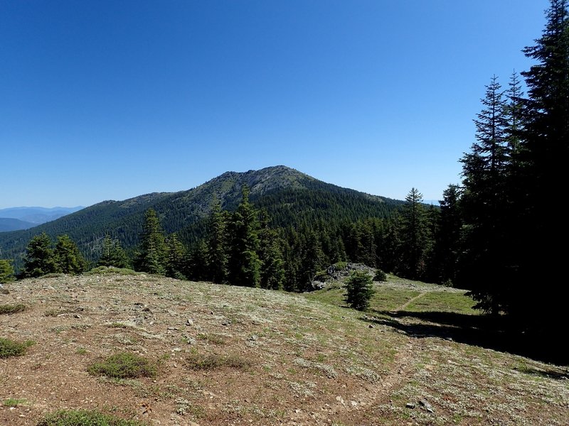 Grayback Mountain from the #1207 trail