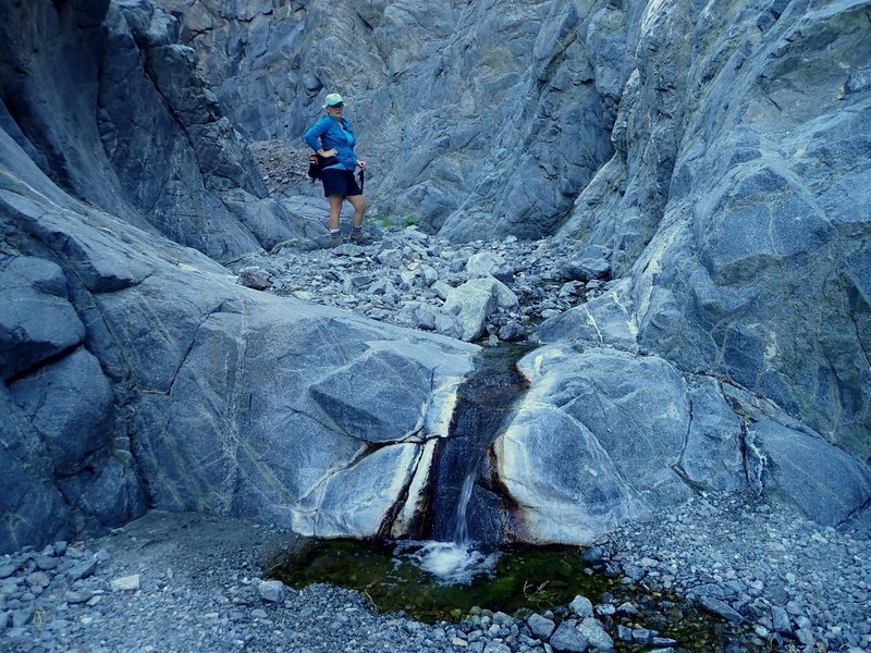 A minor waterfall in Willow Canyon