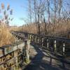 boardwalk