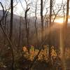 The sun sets over the mountains and through the trees along Baskins Creek Trail.