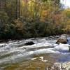The Green River along Green River Cove Trail