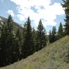 Looking up Iron Bog Creek drainage