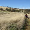 Craig Canyon -Thompson Canyon Trail through oak grassland.