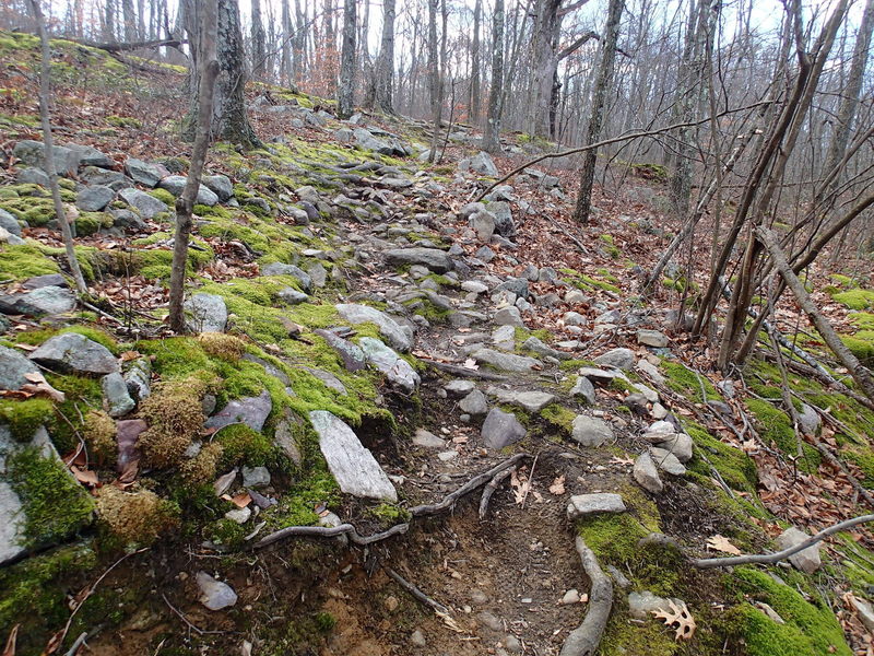 Section of rocky trail - Four Birds Trail
