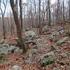Rocky section of Split Rock Trail
