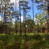 Open views along the trail