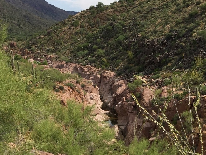 Jug Trail 61 Hiking Trail, Tonto Basin, Arizona
