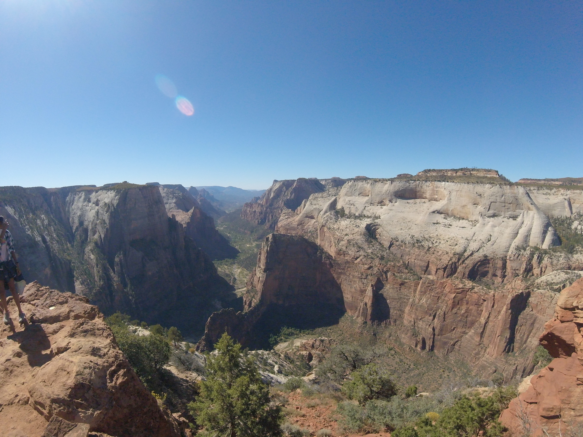 Observation Point Zion National Park