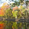 Fall Colors at Mine Falls