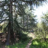 Windom Earle's Cabin Spot