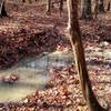 Creek crossing