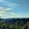 Beyond the redwood forested coastal side of the Santa Cruz Mountains is the Pacific Ocean.