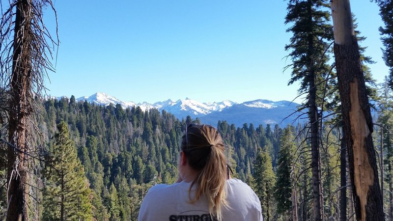 High Sierra vista, good spot for a break