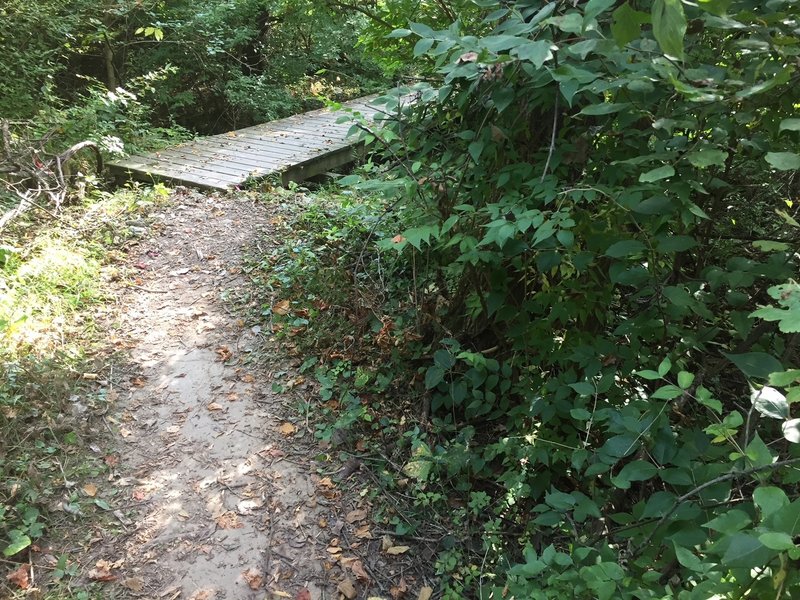 This footbridge crosses the creek between the northeast prairie trails and the northeast to northwest connector trail