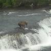 Brooks Falls - Katmai National Park