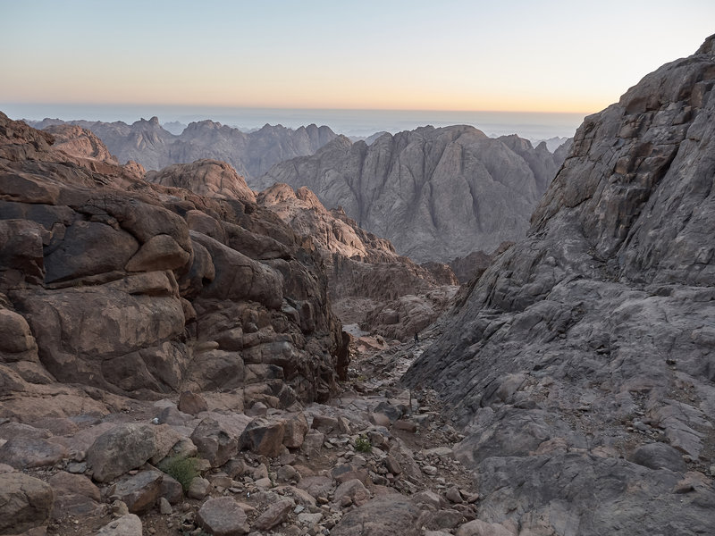 Mount Sinai