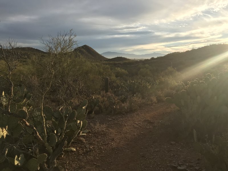 Sunset on the trail