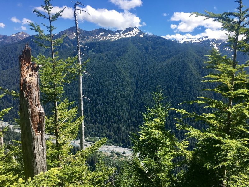 Looking down on the Hoh River
