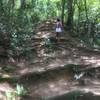 Typical terrain at the trails in Ilha Grande.