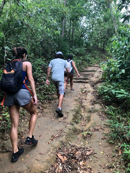 Typical Trail at Ilha Grande