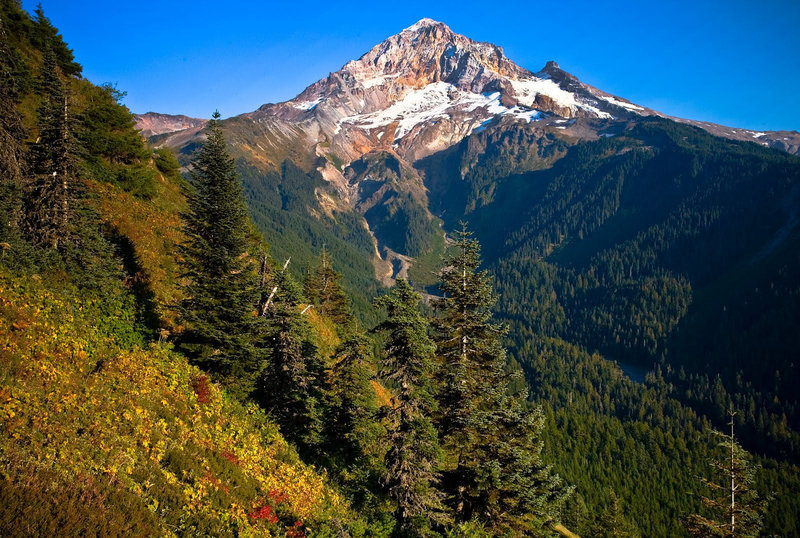 Mount Hood from the south side of Bald Mountain looking into the Muddy Fork of the Sandy River Valley.  Photo from USFS.