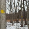Go ahead and snowshoe. The trail is marked with yellow blazes on the trees.