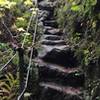 Steep rocky stair steps above beside a waterfall