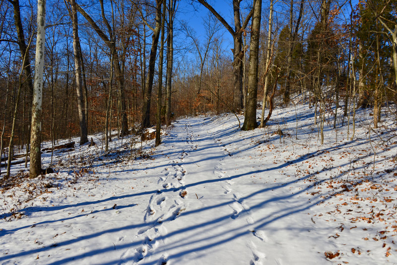Red Trail in Broughton Nature and Wildlife Education Area at parking