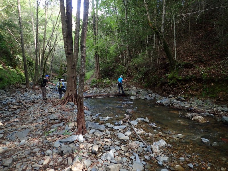 Another crossing of Moore Creek