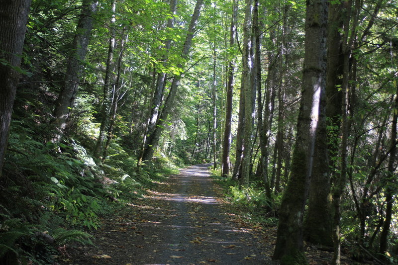 Trail 21.