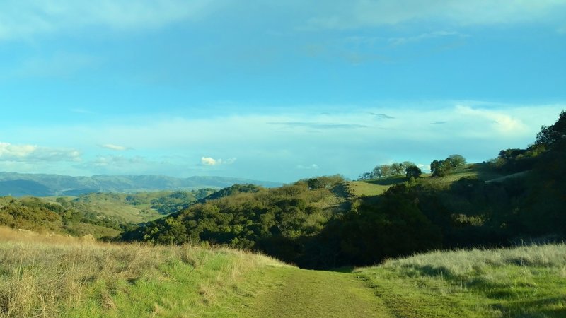 The Diablo Range can be seen in the distance looking east-northeast, just before Serpentine Loop Trail drops amid the grass and wooded hills of Calero County Park.
