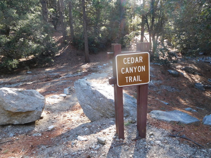 Start of Cedar Canyon Trail from Crystal Lake Road.