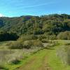 Cottle Trail ends after running through a high meadow nestled among the forested foothills of the Santa Cruz Mountains.