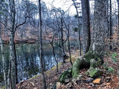 best hikes in uwharrie national forest