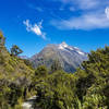 Mount Christina from the Routeburn Track