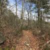 The Laurel Run Trail is scenic, even in the dead of winter
