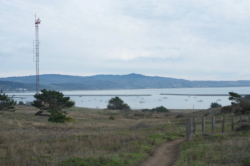 You can see Half Moon Bay from the trail as you get closer to Pillar Point.