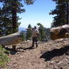 Cutting logs off trail in wilderness with crosscut saw
