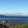 Views of the Seattle skyline at the start of the Cross Island Trail