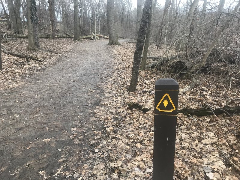 Trail marker for the Alder Trail